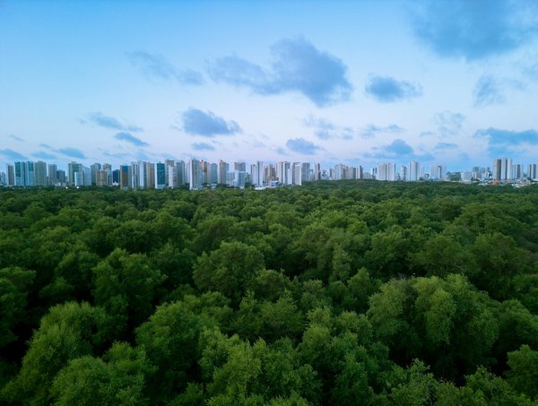 Les Incontournables Festivals de BD en 2023 : Événements à Ne Pas Rater